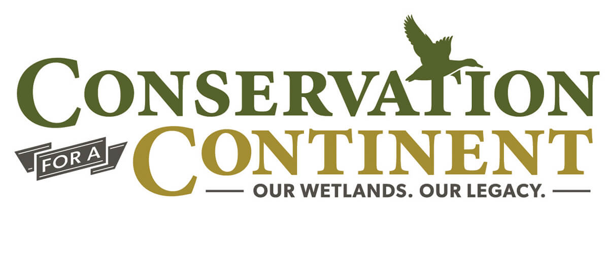 Image for Ducks Unlimited announces establishment of Northwest Endowment